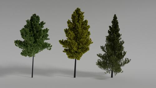 3 Different Realistic Trees preview image